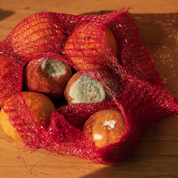 Sprechi alimentari, con Too Good to go salvati oltre 52 mln di pasti nel 2021